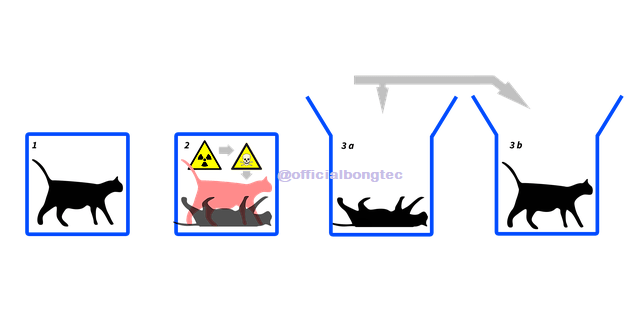 Schrödinger Cat Experiment: the door to infinite possibilities